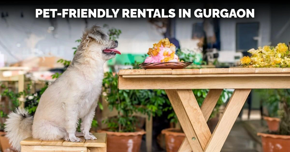 Pet-Friendly Rentals in Gurgaon: Understanding Laws, Deposits & Society Rules